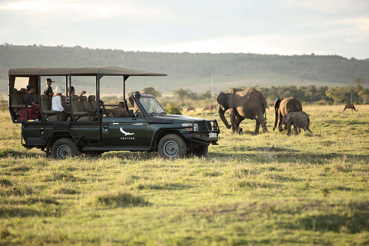 Fly Safari Mara Kichwa by andBeyond